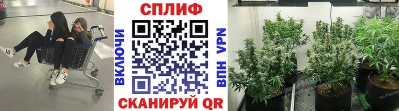 Купить где  Иваново  Канабис конопля 